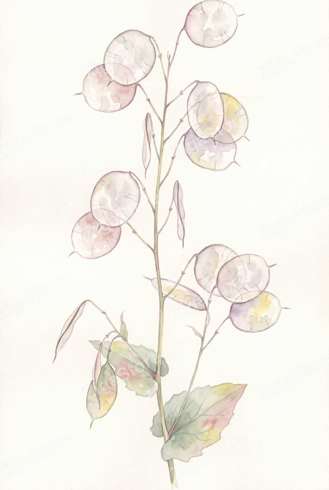 Lace, Mist & Moonpennies — Pressed Botanical Bathroom Wall Art Set of 3 by Pressed Petal — print preview (watermarked)