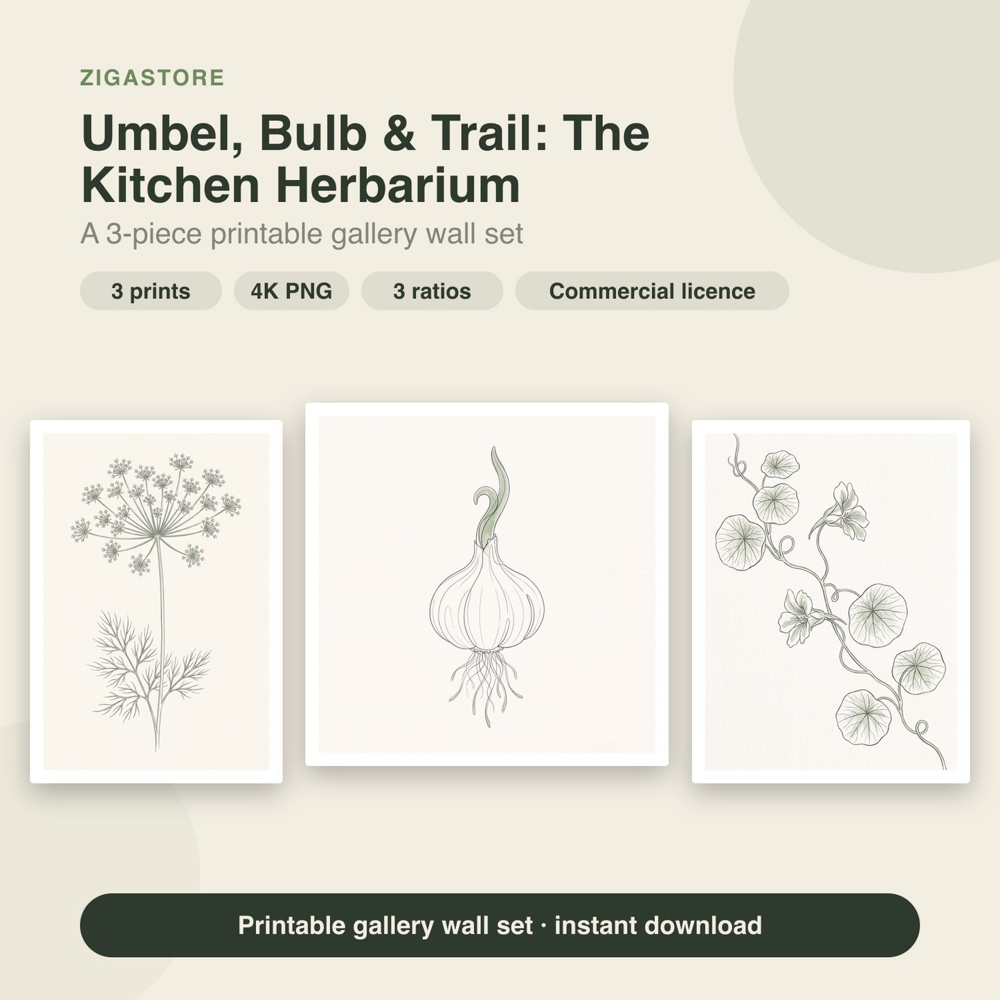 Umbel, Bulb & Trail Kitchen Herbarium — 3 Line Art Prints by Verdant Hours