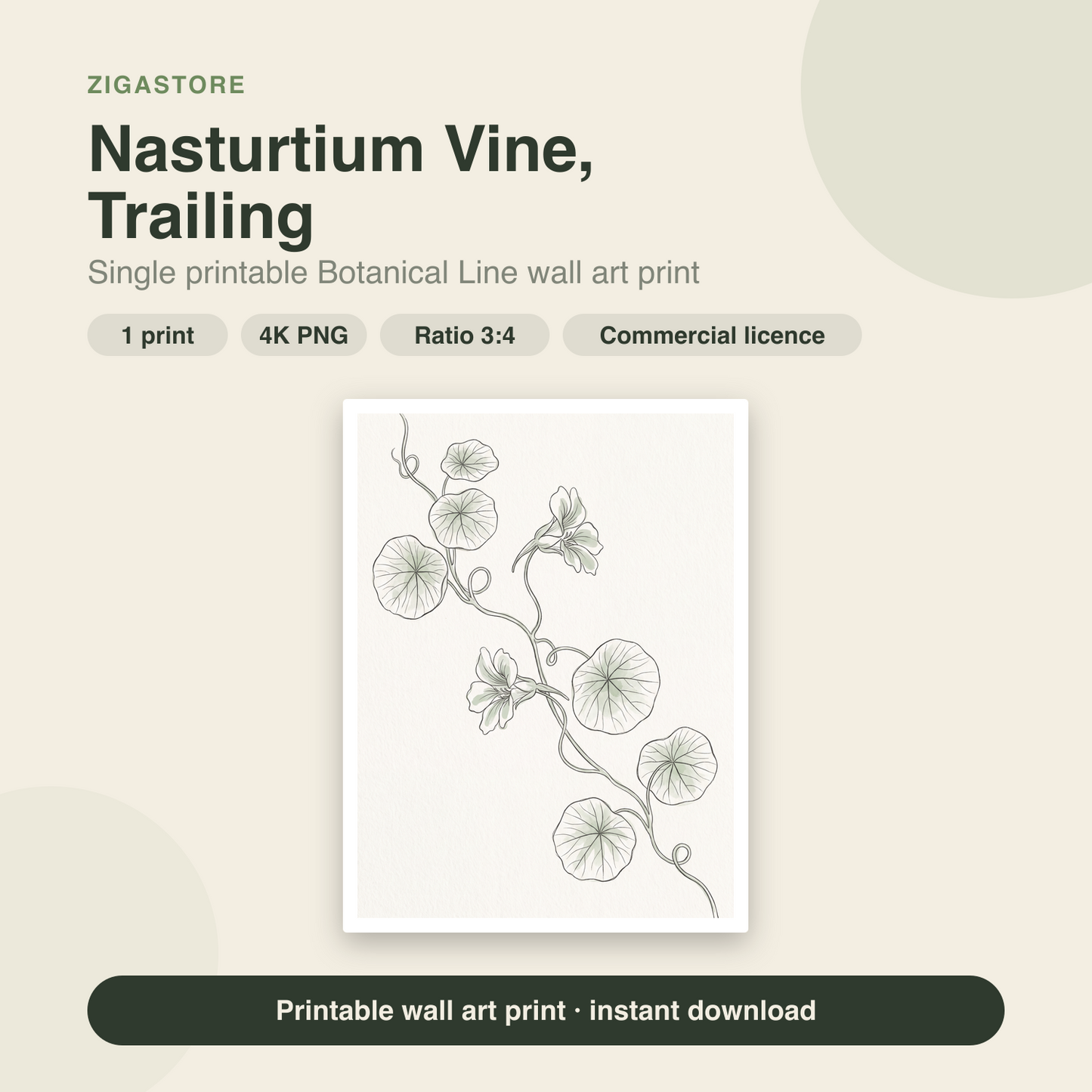 Nasturtium Vine, Trailing | Botanical Line Printable Wall Art Print by Verdant Hours