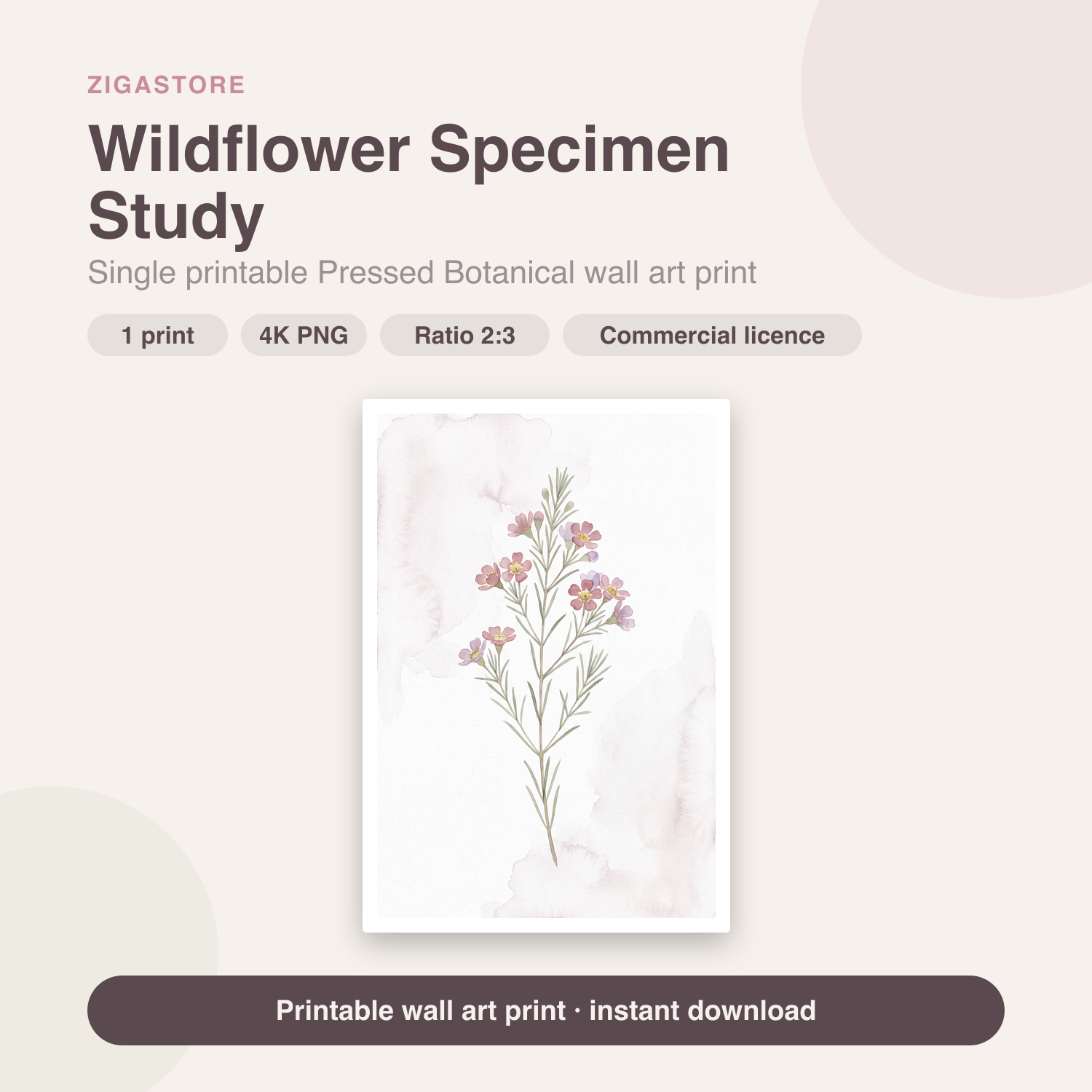 Wildflower Specimen Study | Pressed Botanical Printable Wall Art Print by Pressed Petal