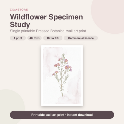 Wildflower Specimen Study | Pressed Botanical Printable Wall Art Print by Pressed Petal