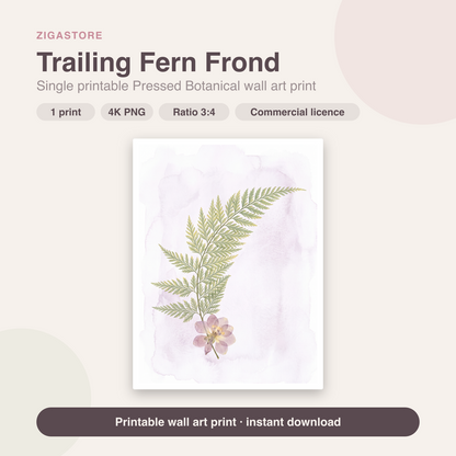 Trailing Fern Frond | Pressed Botanical Printable Wall Art Print by Pressed Petal