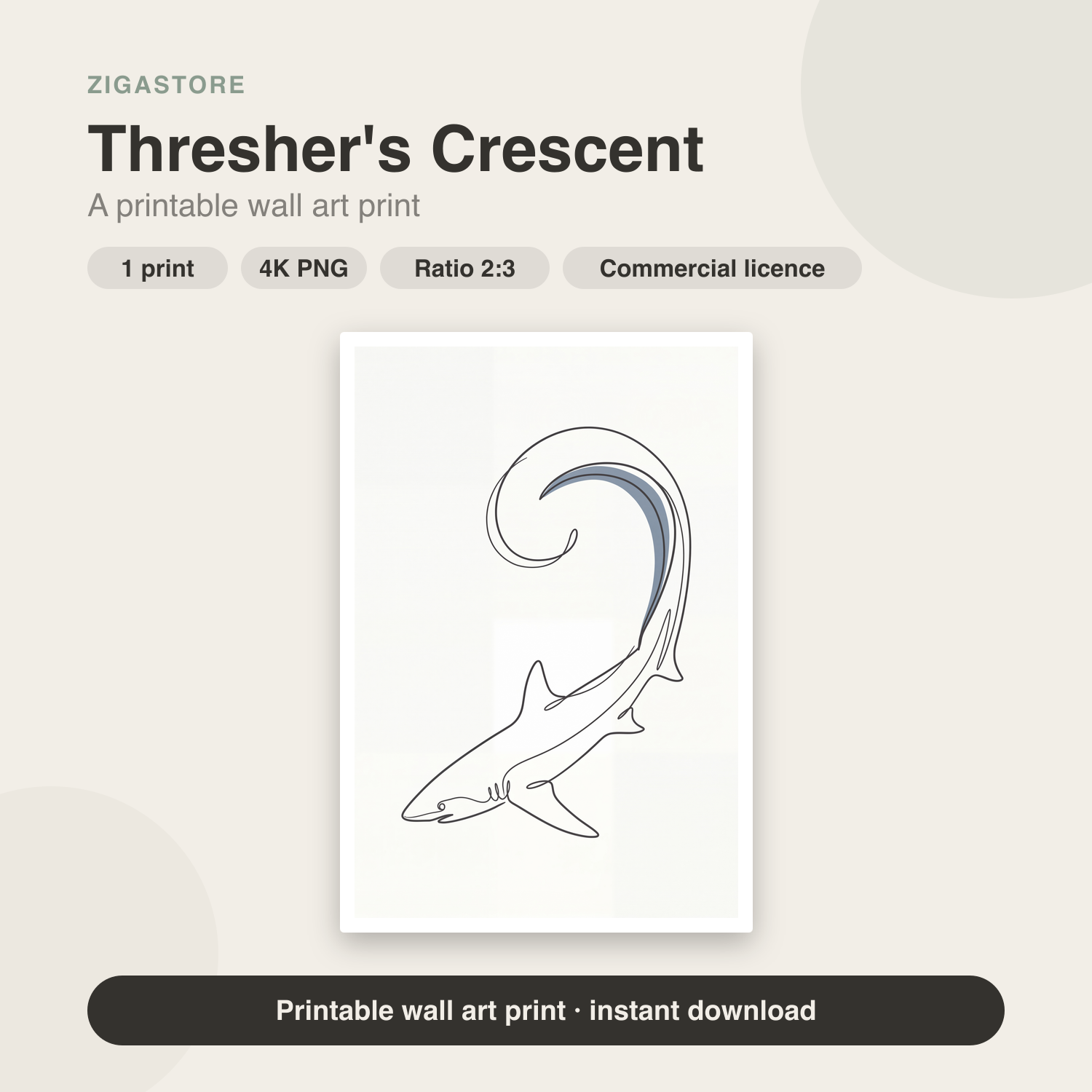 Thresher's Crescent — Single-Line Shark Wall Art Print by Slate & Sparrow