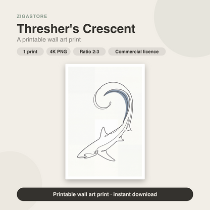 Thresher's Crescent — Single-Line Shark Wall Art Print by Slate & Sparrow