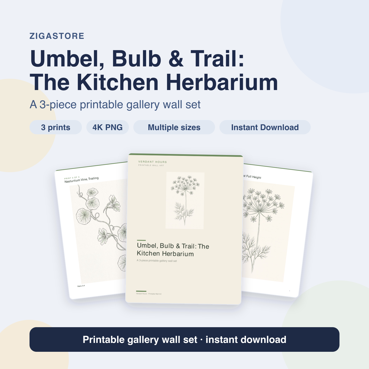 Umbel, Bulb & Trail Kitchen Herbarium — 3 Line Art Prints by Verdant Hours