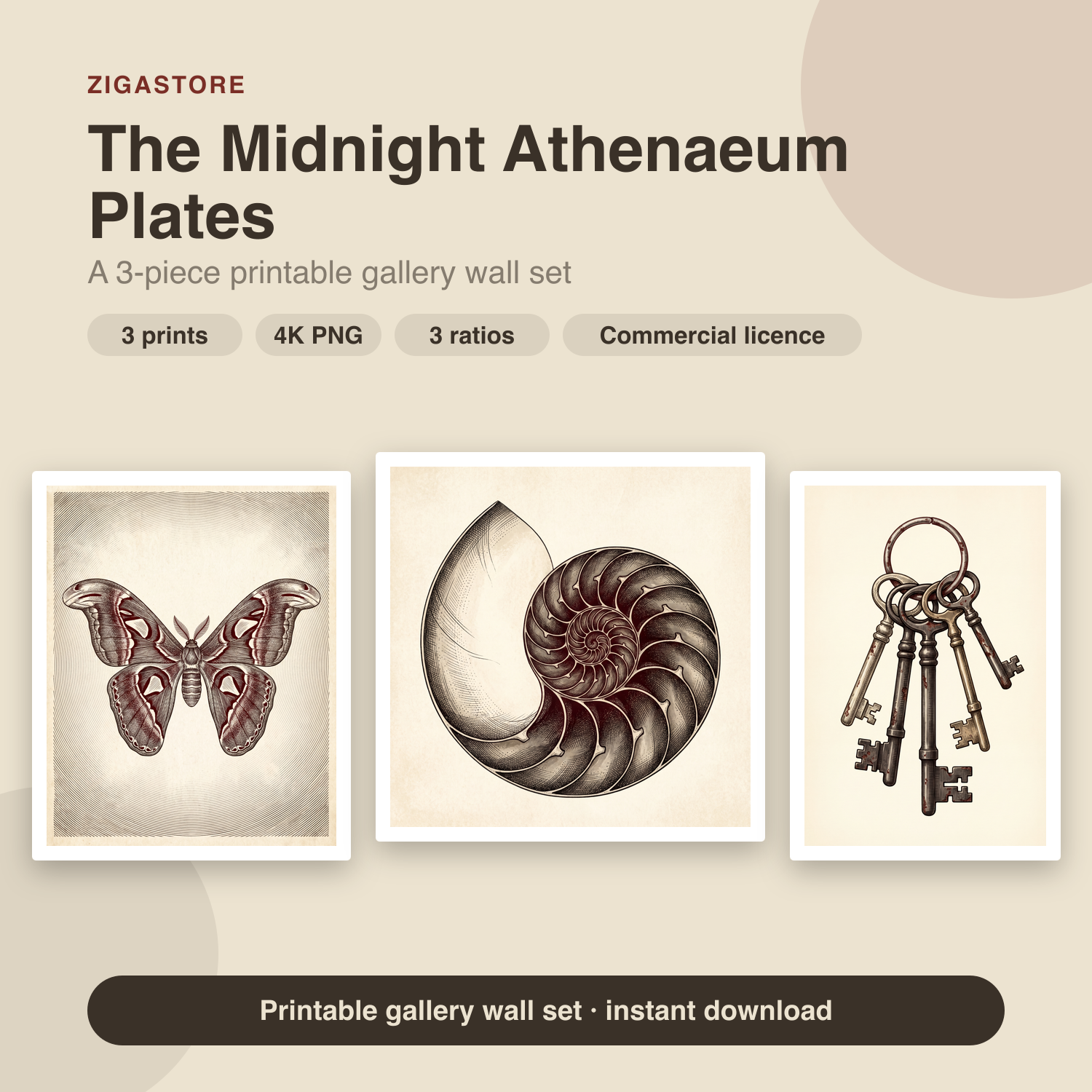 Midnight Athenaeum Plates - Dark Academia 3-Piece Printable Wall Art by Inkwell & Bramble
