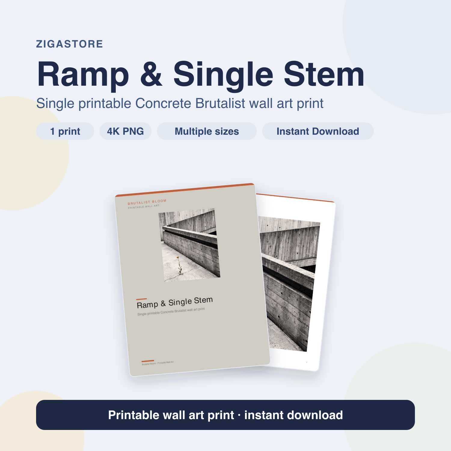Ramp & Single Stem | Concrete Brutalist Printable Wall Art Print by Brutalist Bloom