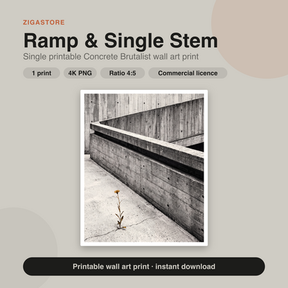 Ramp & Single Stem | Concrete Brutalist Printable Wall Art Print by Brutalist Bloom
