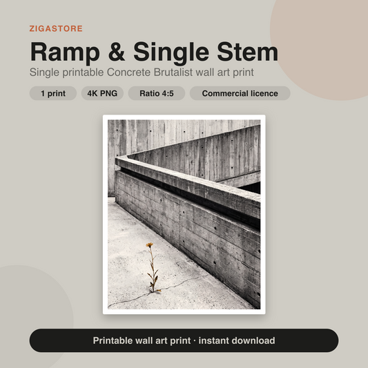 Ramp & Single Stem | Concrete Brutalist Printable Wall Art Print by Brutalist Bloom