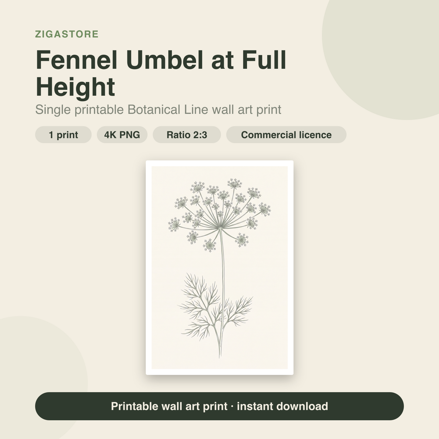 Fennel Umbel at Full Height | Botanical Line Printable Wall Art Print by Verdant Hours