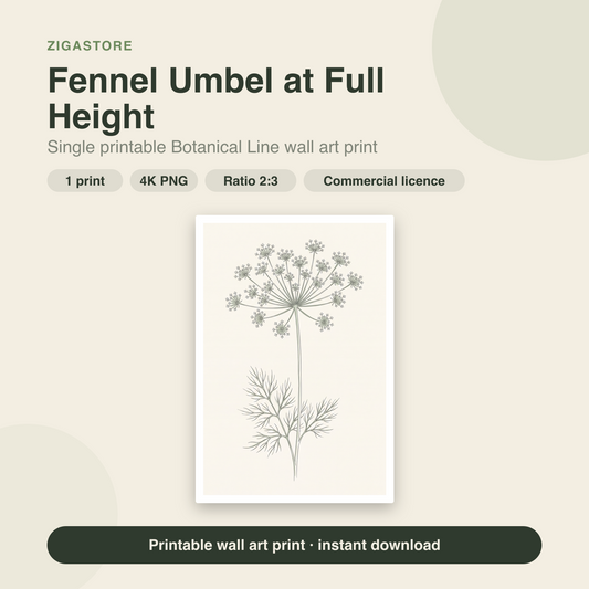 Fennel Umbel at Full Height | Botanical Line Printable Wall Art Print by Verdant Hours