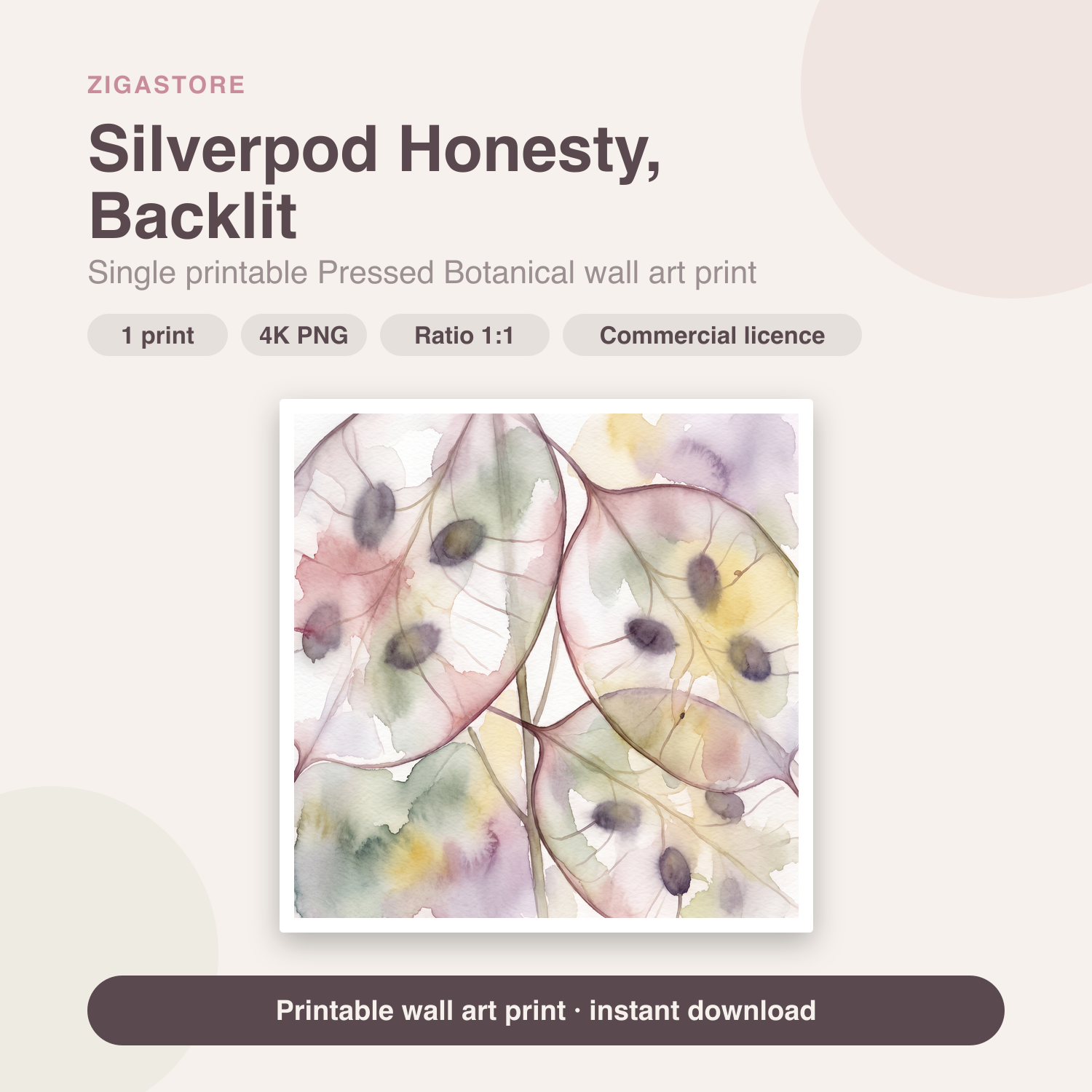 Silverpod Honesty, Backlit | Pressed Botanical Printable Wall Art Print by Pressed Petal
