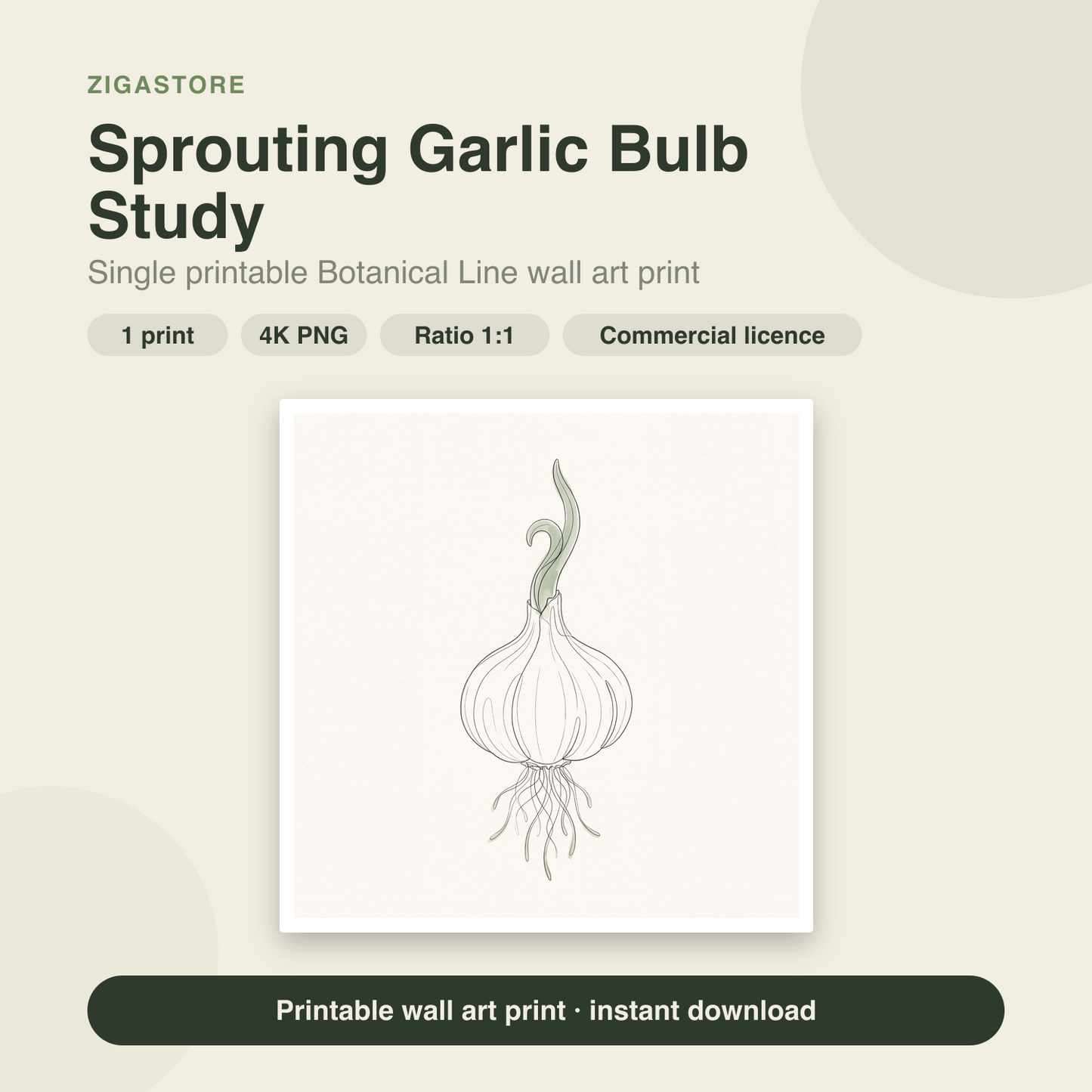 Sprouting Garlic Bulb Study | Botanical Line Printable Wall Art Print by Verdant Hours