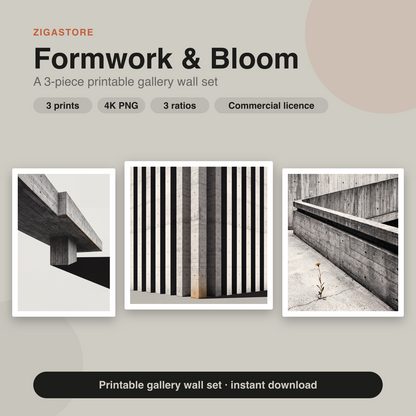 Formwork & Bloom — Brutalist Concrete 3-Piece Wall Art Set by Brutalist Bloom