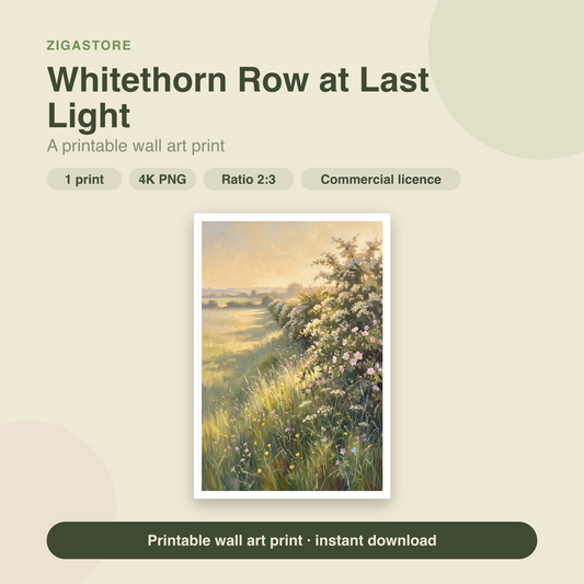 Whitethorn Row at Last Light | Cottagecore Meadow Print by Wildflower Field