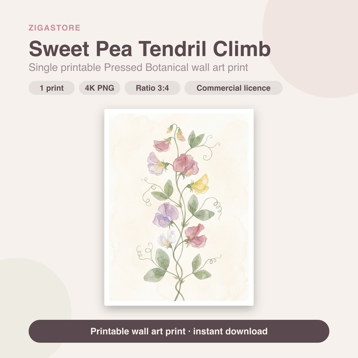 Sweet Pea Tendril Climb | Pressed Botanical Printable Wall Art Print by Pressed Petal