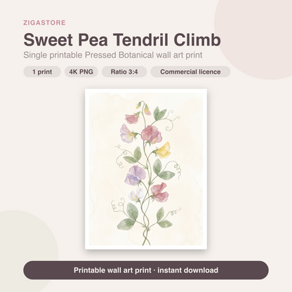 Sweet Pea Tendril Climb | Pressed Botanical Printable Wall Art Print by Pressed Petal