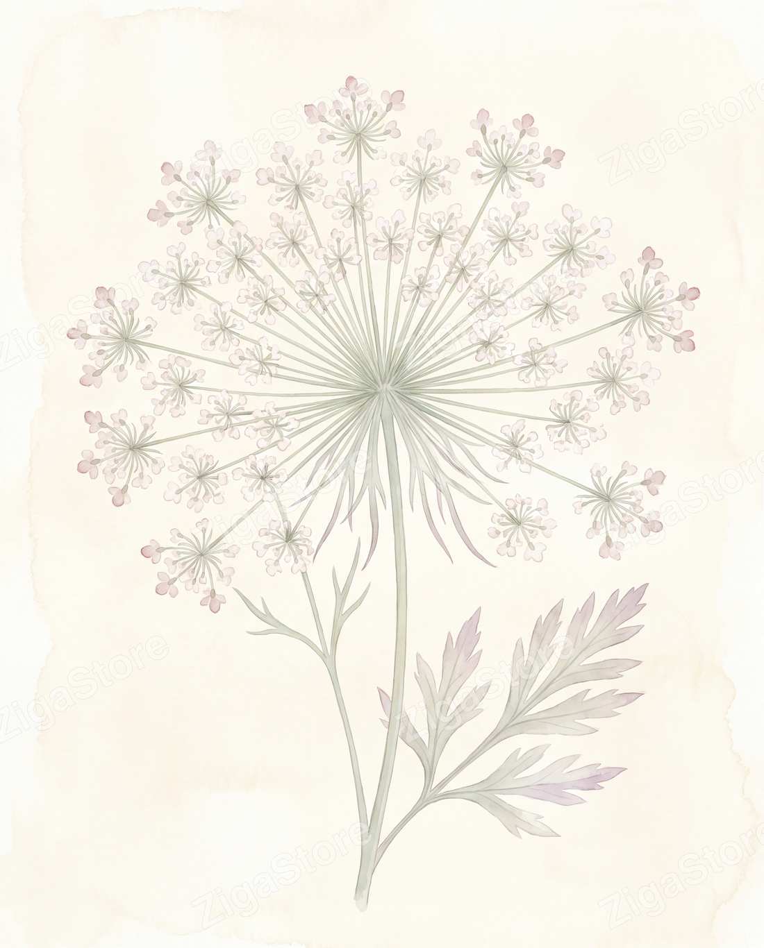 Harebell & Wild-Lace Pressings | 3 Pressed Botanical Nursery Prints by Pressed Petal — print preview (watermarked)