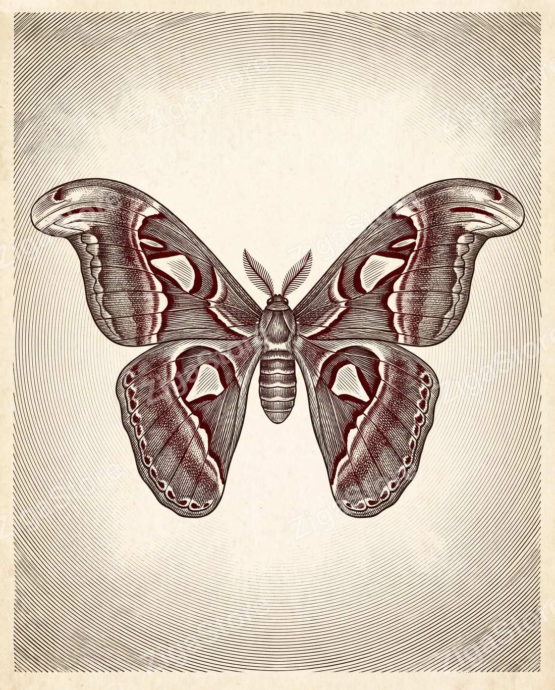 Midnight Athenaeum Plates - Dark Academia 3-Piece Printable Wall Art by Inkwell & Bramble — print preview (watermarked)