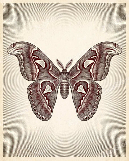 Midnight Athenaeum Plates - Dark Academia 3-Piece Printable Wall Art by Inkwell & Bramble — print preview (watermarked)