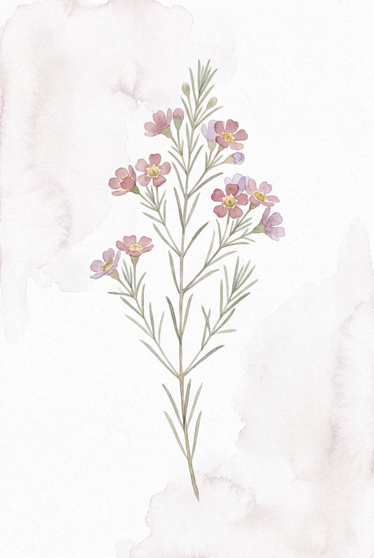 Wildflower Specimen Study | Pressed Botanical Printable Wall Art Print by Pressed Petal — print preview