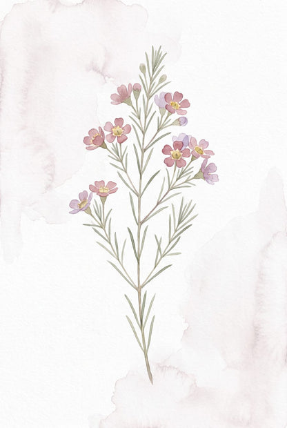 Pressed Botanical Gallery Wall Set | 3 Printable Boho Prints by Pressed Petal — print preview