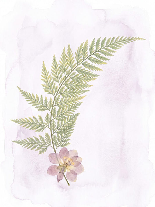 Trailing Fern Frond | Pressed Botanical Printable Wall Art Print by Pressed Petal — print preview