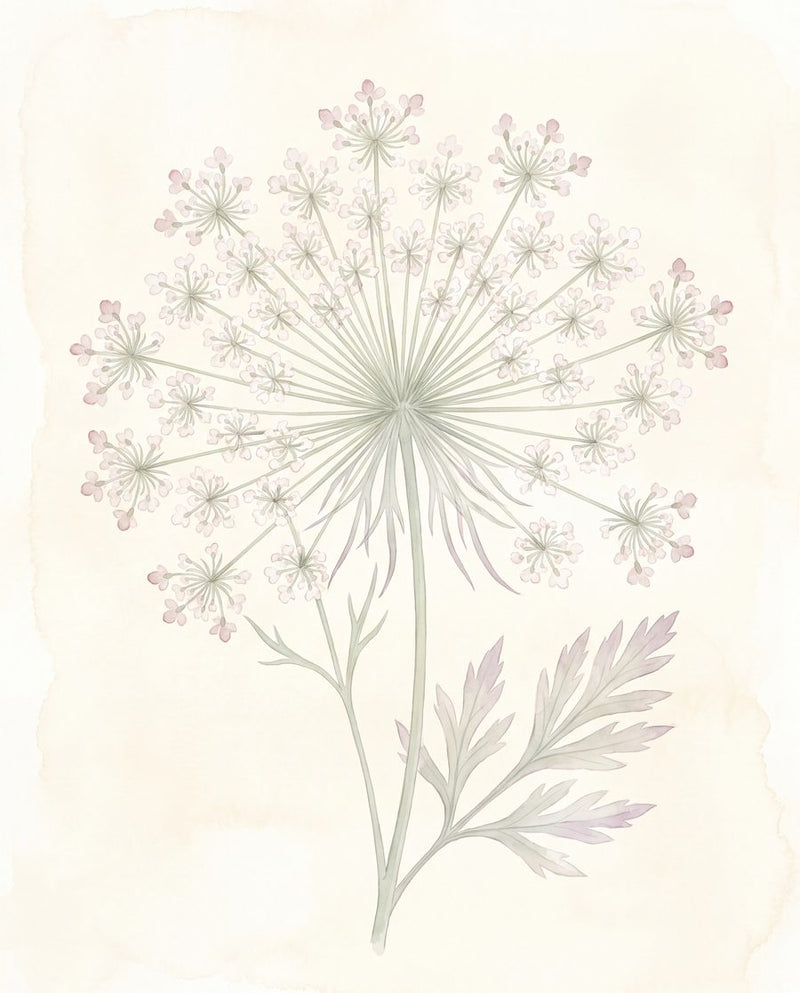 Harebell & Wild-Lace Pressings | 3 Pressed Botanical Nursery Prints by Pressed Petal — print preview shown framed at true scale in an illustrated room preview