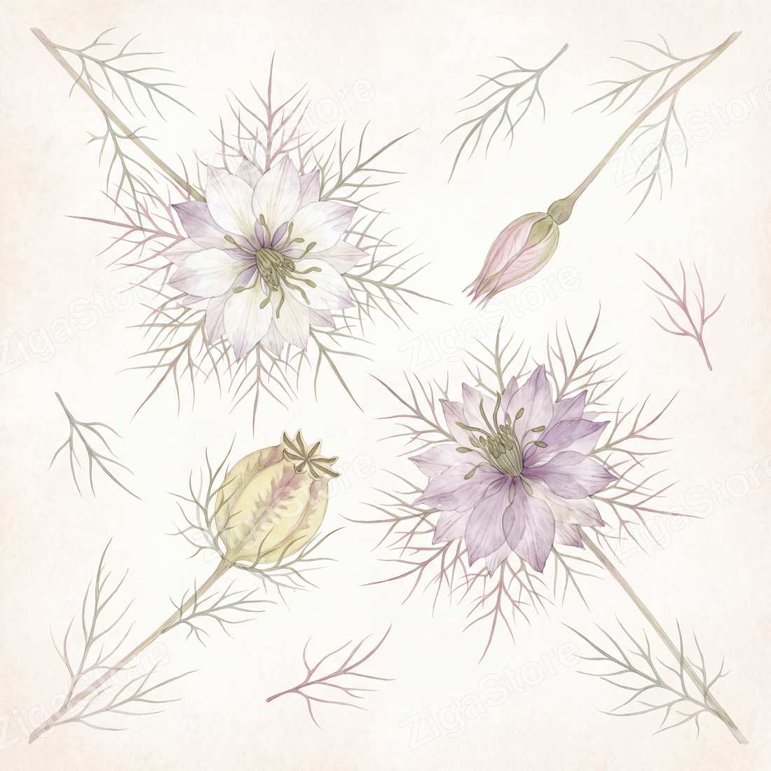 Moonseed & Meadowmist — 3 Pressed Botanical Wall Art Prints by Pressed Petal — print preview (watermarked)
