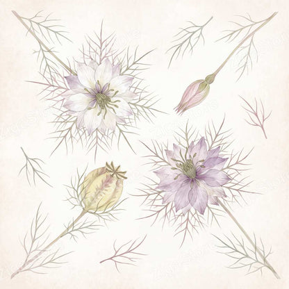 Moonseed & Meadowmist — 3 Pressed Botanical Wall Art Prints by Pressed Petal — print preview (watermarked)