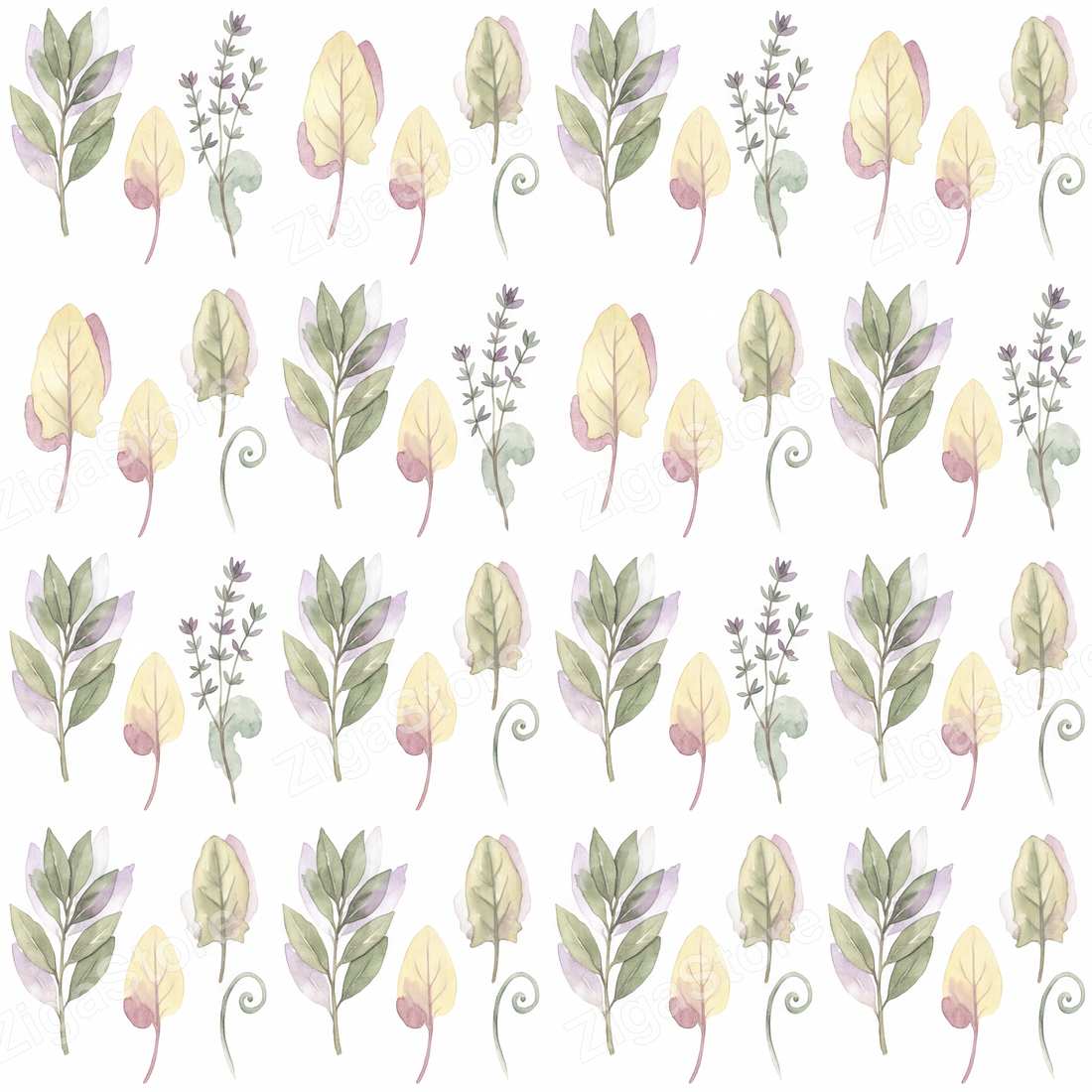 Fennel Hollow Pressings — Pressed Botanical 3-Print Kitchen Set by Pressed Petal — print preview (watermarked)