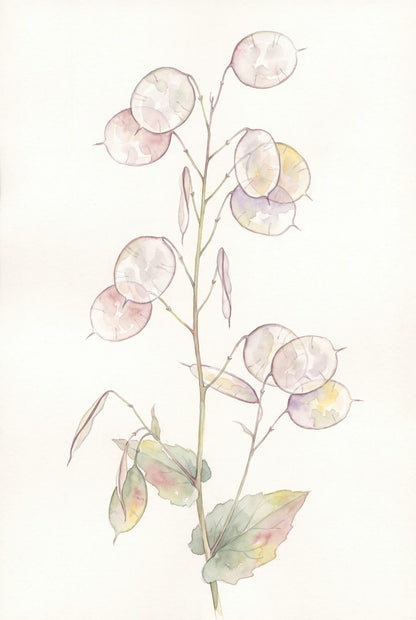 Lace, Mist & Moonpennies — Pressed Botanical Bathroom Wall Art Set of 3 by Pressed Petal — print preview