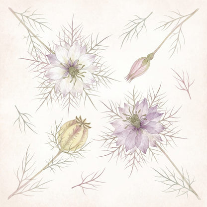Moonseed & Meadowmist — 3 Pressed Botanical Wall Art Prints by Pressed Petal — print preview