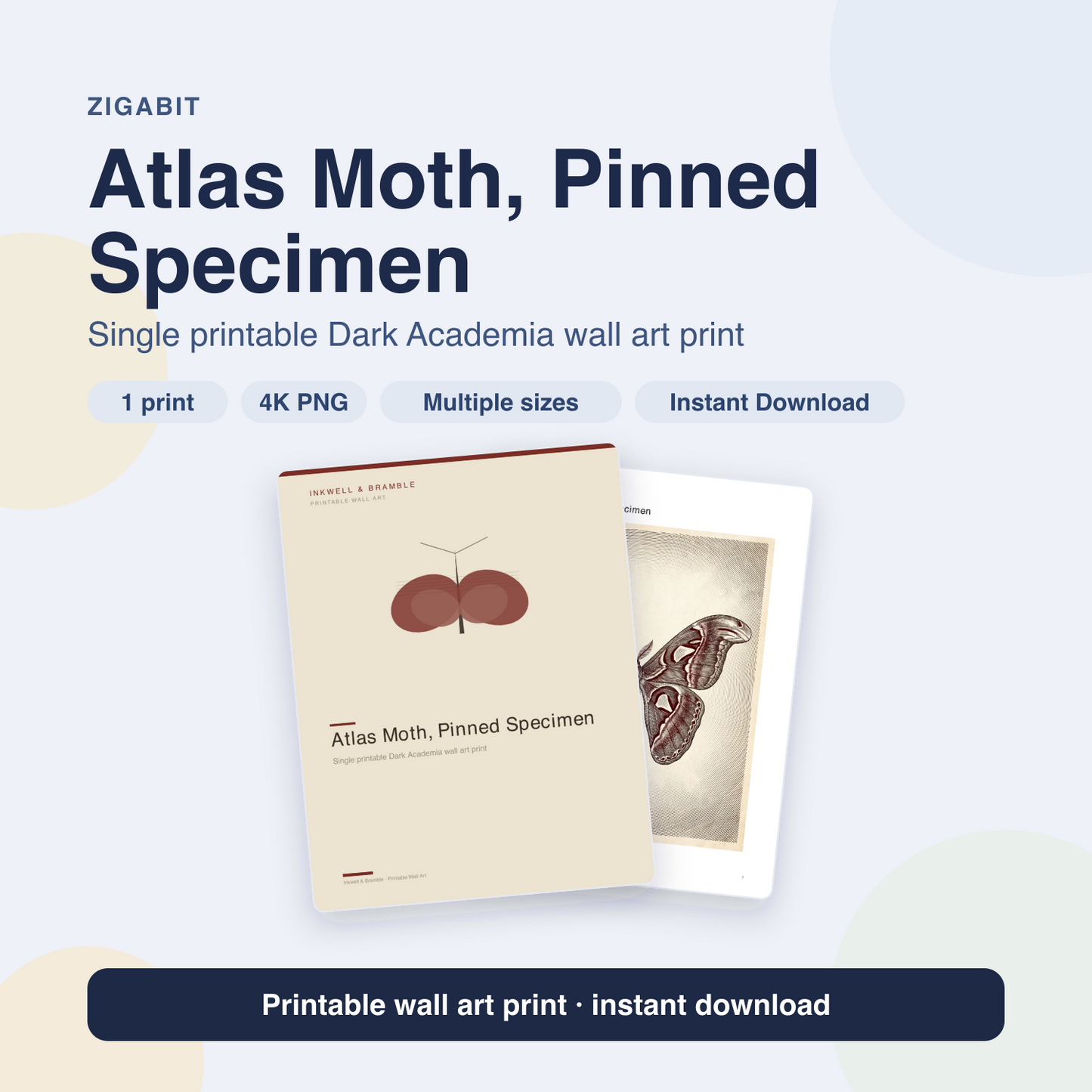 Atlas Moth, Pinned Specimen | Dark Academia Printable Wall Art Print by Inkwell & Bramble
