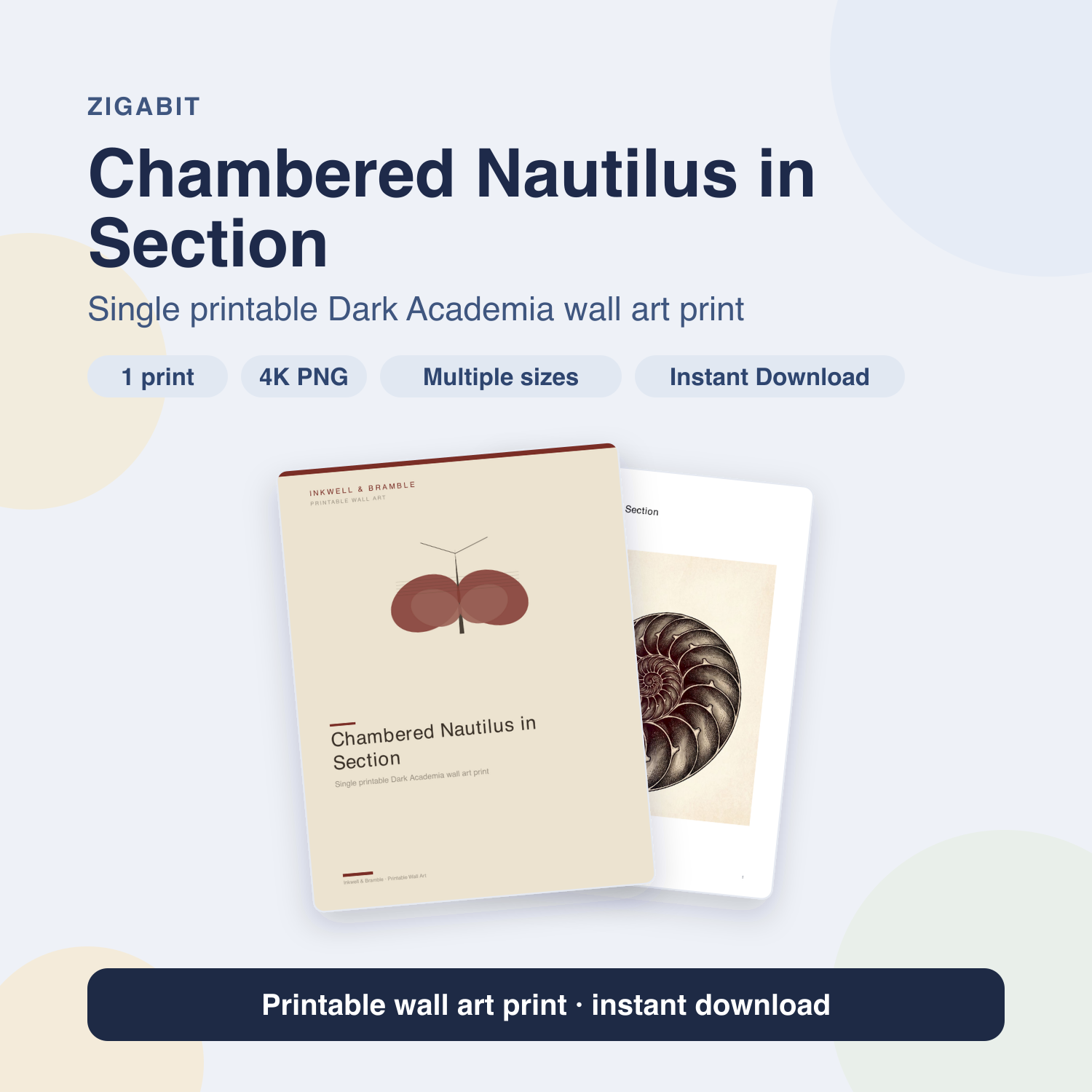 Chambered Nautilus in Section | Dark Academia Printable Wall Art Print by Inkwell & Bramble