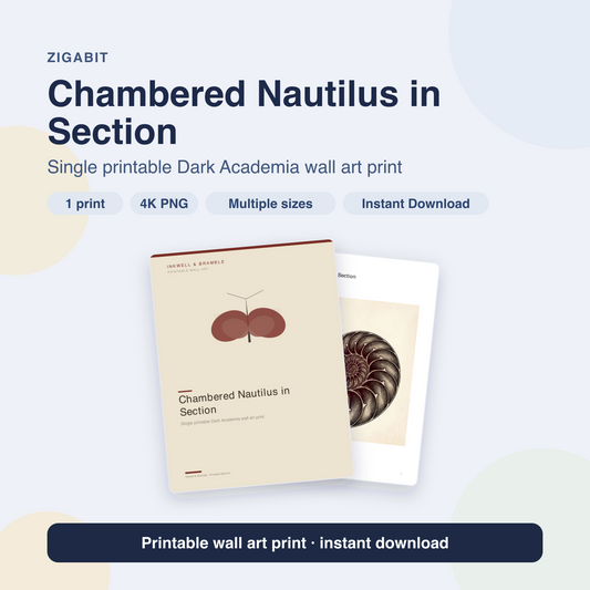 Chambered Nautilus in Section | Dark Academia Printable Wall Art Print by Inkwell & Bramble