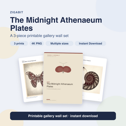 Midnight Athenaeum Plates - Dark Academia 3-Piece Printable Wall Art by Inkwell & Bramble