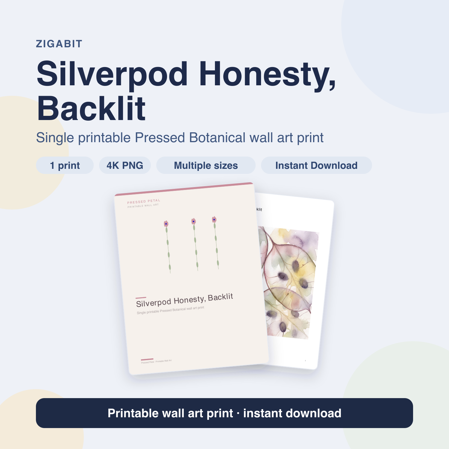 Silverpod Honesty, Backlit | Pressed Botanical Printable Wall Art Print by Pressed Petal